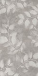 Forall grey