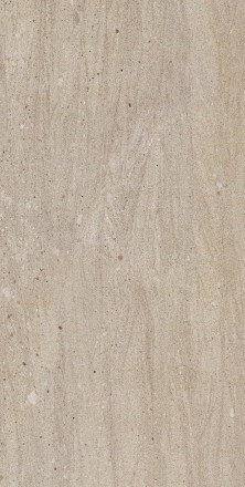 Shell Rock Ivory